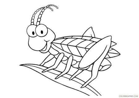 Раскраски кузнечик для детей 4-5 лет