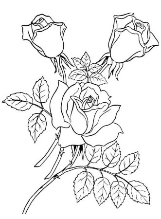 Раскраска цветочек