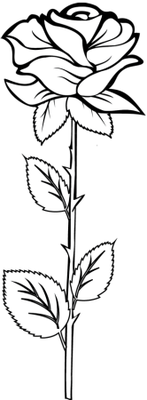 Роза раскраска