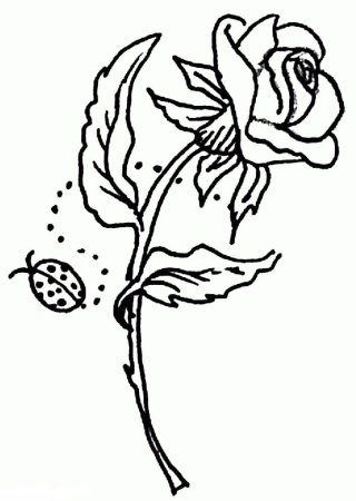 Раскраски для малышей