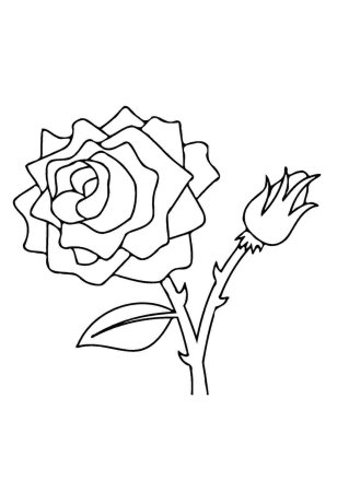Роза раскраска для детей