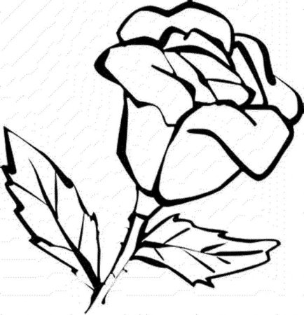 Раскраска роза для детей 5-6 лет