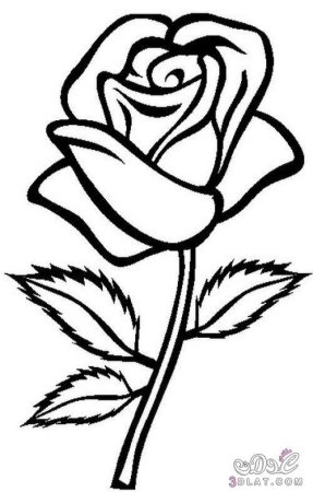 Роза раскраска для детей