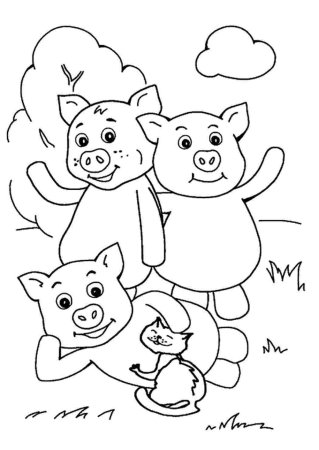 Раскраска лягушка квакушка из сказки Теремок