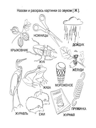 Звук ж задания для дошкольников