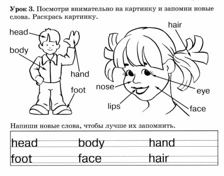 Раскраски по номерам на английском для детей