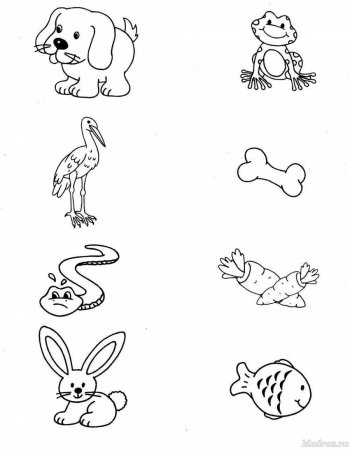 Раскраски с логическими заданиями