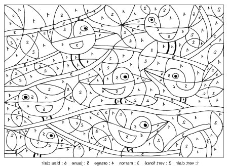 Головоломки для детей 5-6 лет