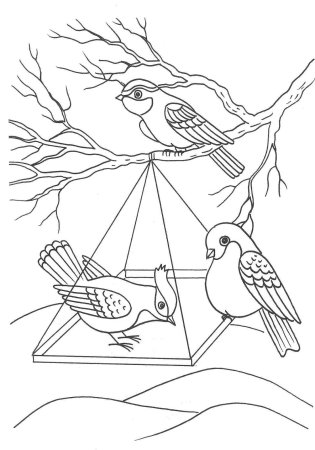 Птичка в кормушке раскраска