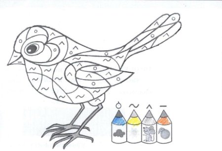 Штриховка зимующие птицы для дошкольников