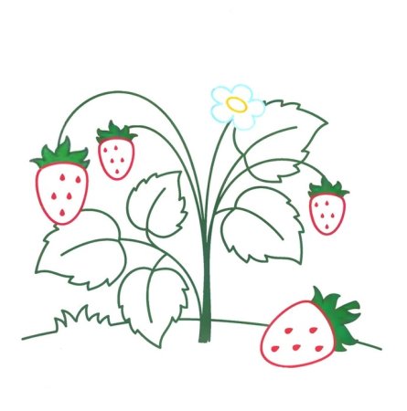 Раскраски для детей с цветным контуром