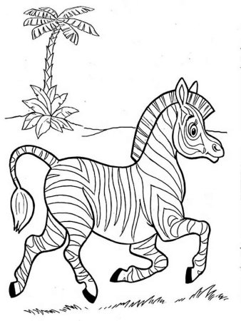 Зебра раскраска