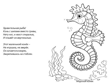Морской конек раскраска для детей