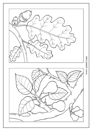 Раскраски для детей на лист а4