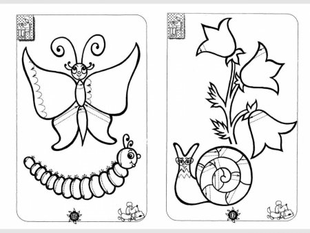 Насекомые штриховка для дошкольников