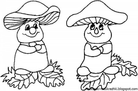 Раскраски грибы для детей 3-4 лет
