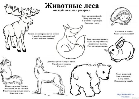 Раскраски для малышей Дикие животные