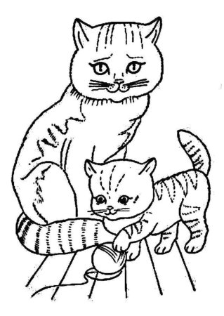 Котенок. Раскраска