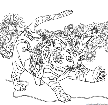 Раскраска антистресс