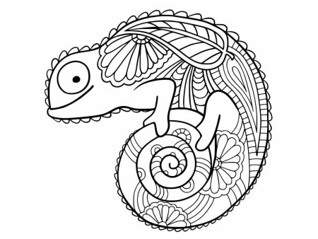 Раскраска антистресс хамелеон