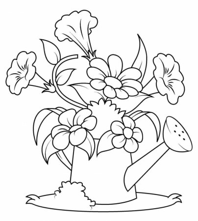Раскраски цветов