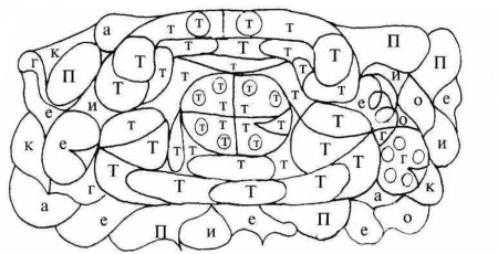 Буква т задания для дошкольников