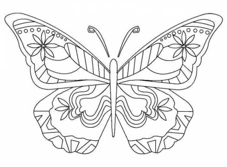 Раскраска "бабочки"