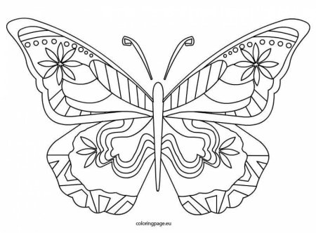 Раскраска "бабочки"