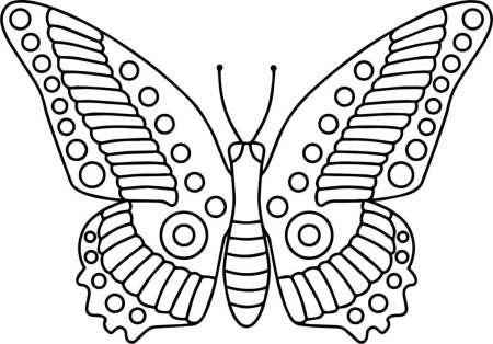 Бабочка с узорами на крыльях раскраска