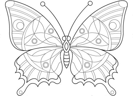 Раскраска "бабочки"