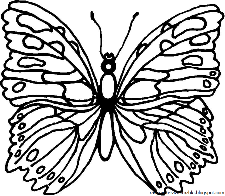 Раскраски бабочки для детей 6-7 лет