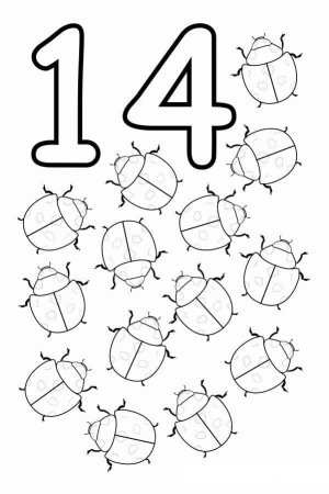 Число и цифра 15 для дошкольников