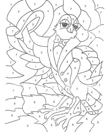 Раскраска по цифрам