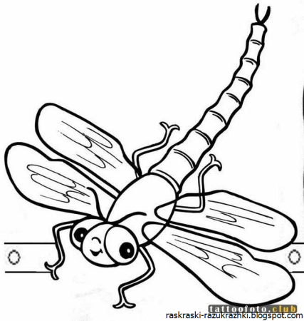 Насекомые раскраска для детей
