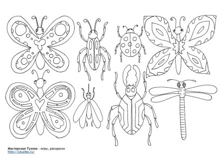 Раскраска насекомые для детей 6 лет