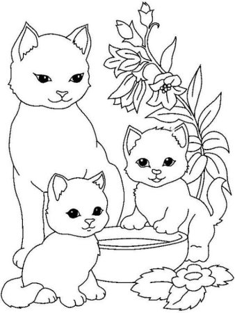 Раскраска котик лягушка