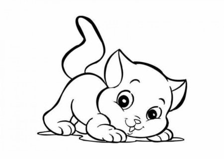 Раскраска "котята и щенята"