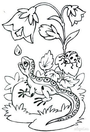 Раскраска природа для детей 6-7 лет