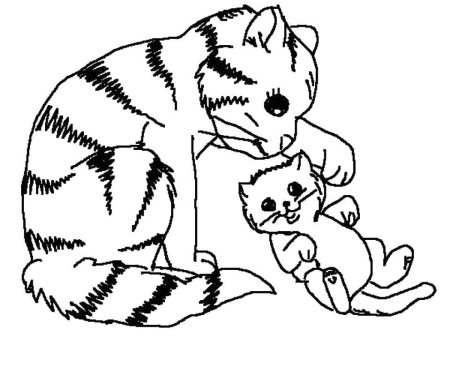 Кошка раскраска для детей
