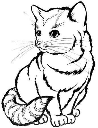 Раскраска котик с рыбкой