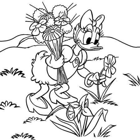 Дейзи дак раскраска