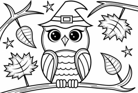 Owl drawing for Kids Colour