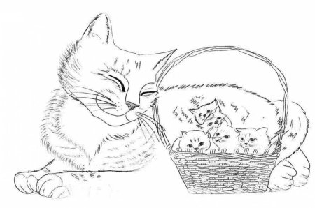 Раскраска кот