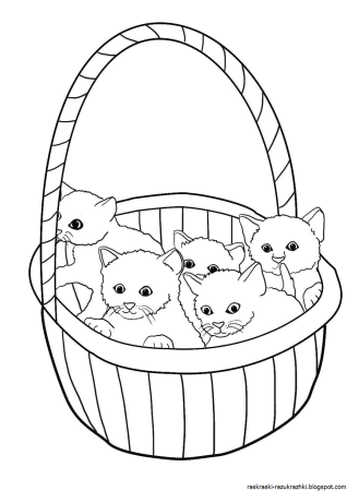 Кототерапия раскраска-антистресс