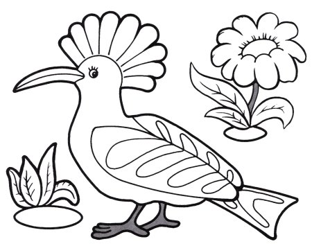 Птичка раскраска