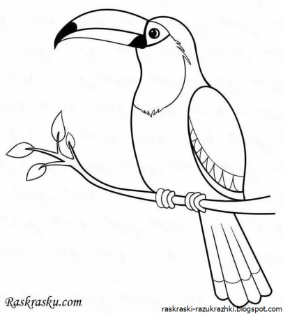 Птицы. Раскраска