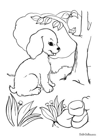 Щенок. Раскраска