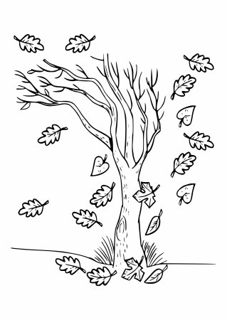 Осеннее дерево раскраска