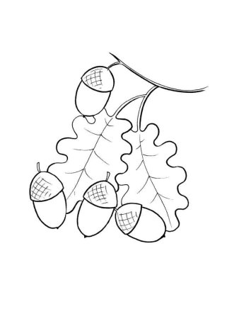 Осенняя раскраска