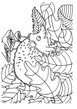 Осенняя раскраска